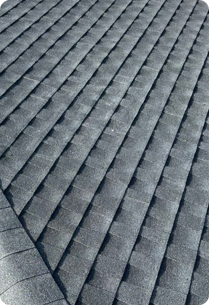 asphalt shingle roof